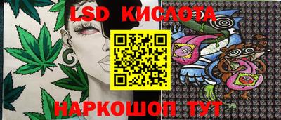 индика Нягань