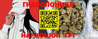 индика Нягань
