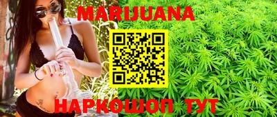 индика Нягань