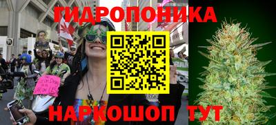стафф Обь