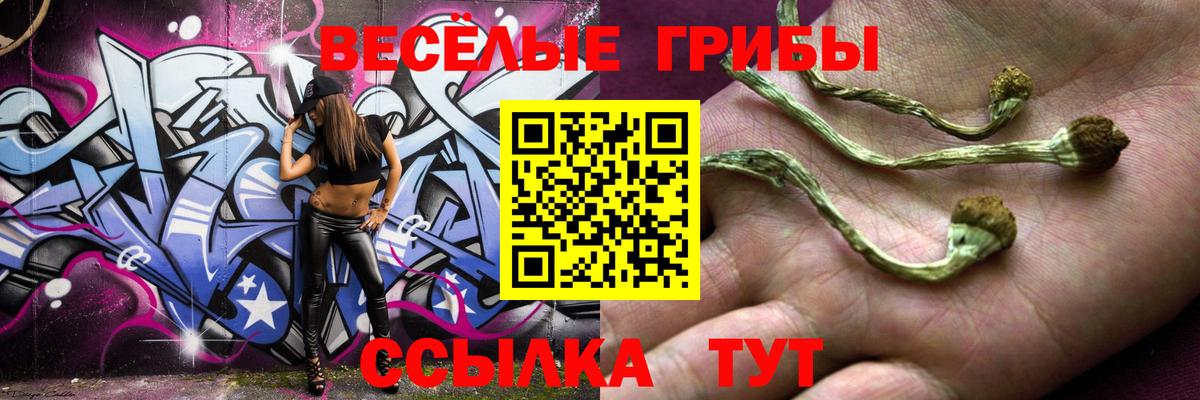 Троицк  Псилоцибиновые грибы GOLDEN TEACHER  Вход с VPN 